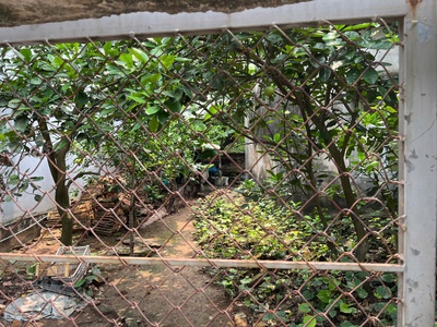 Bán 150m đất hạ trại thống nhất long biên mt 9m , oto ,kd,giá 12,5 ty . 0