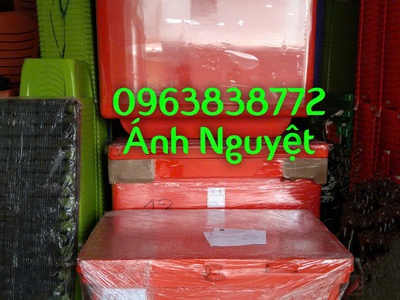 Thùng đá Thái Lan 200lit ướp đá, bảo quản thực phẩm 3