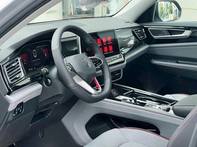 Cần bán xe 5 chỗ Volkswagen Teramont X 4