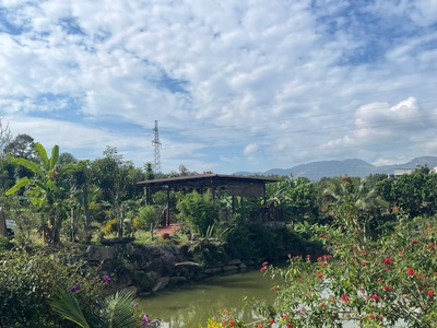 Bán đất nền có sẵn sầu riêng đang thu hoạch 300m2, ngang 10 120m tc, Quốc Lộ 55, Lộc Nam view đẹp 1