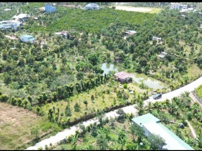 Bán đất nền có sẵn sầu riêng đang thu hoạch 300m2, ngang 10 120m tc, Quốc Lộ 55, Lộc Nam view đẹp 2