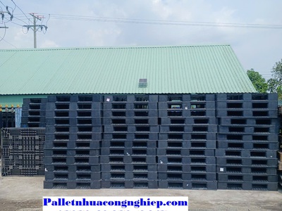 Giá siêu ưu đãi chỉ từ 170K cho pallet nhựa Dak Lak thanh lý 0