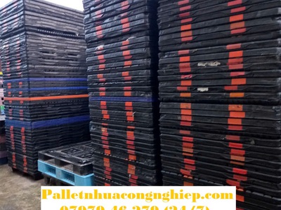 Giá siêu ưu đãi chỉ từ 170K cho pallet nhựa Dak Lak thanh lý 2