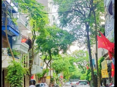 Mặt Phố Cũ Lê Ngọc Hân, 71m2x6T tum 56 tỷ 1