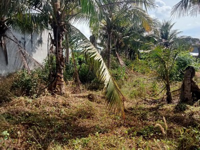  cần bán lô đất biệt thự 420m  tại xã tam an   long đất   bà rịa vũng tàu giá chỉ 1.65 tỷ 0