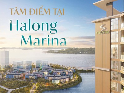 Bán căn hộ sky m hạ long - studio - 31m2 - 1.5 tỷ - vị trí vàng bãi cháy 1