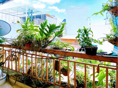 Bán nhà hẻm lạc long quân, quận tân bình, diện tích vuông vức 3.4 x 12.45 m, giá 6.65 tỷ 3