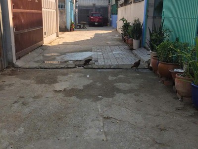 Hot hot hot   siêu hiếm    đất thổ cư 80m2 chỉ 6,49 tỷ tl   sổ hồng riêng   ngay ngã tư phú thuận, 4