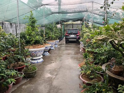 Chậu hoa dán sành sứ - chậu khảm sành - cẩn miễng 3