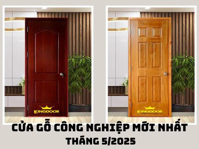 Cửa Gỗ Công Nghiệp Mới Nhất Tháng 5/2025 0
