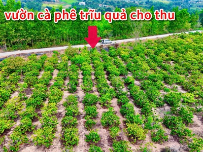 Đất thị trấn ea knop- ea kar-đắk lắk dt 10 60m quy hoạch đất ở đô thị lên thổ ngay được chỉ 4