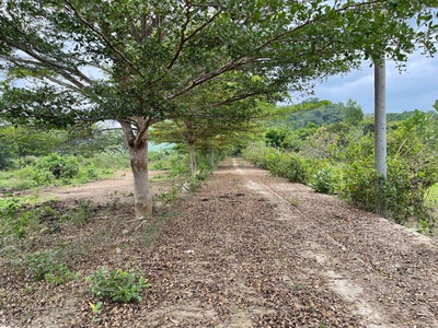 Chỉ còn có duy nhất 1 lô giá siêu rẻ đầu tư tiềm năng - diên hoà - diên khánh - 97m2 full thổ ngang 1