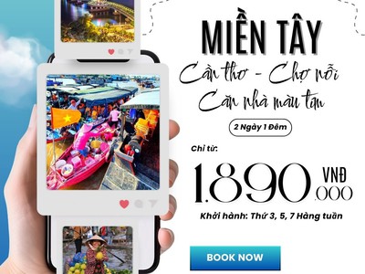 Hè đến rồi Mù Cang Chải ngắm mùa lúa thôi 1