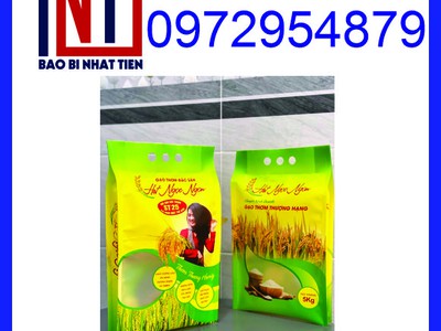 Cung cấp túi gạo 5kg giá rẻ, túi PA/PE đựng gạo 7