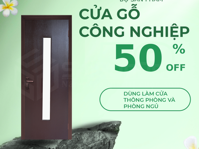 Cửa gỗ công nghiệp hiện đại 0