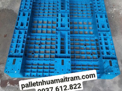 Pallet nhựa Hậu Giang, hiện đang giảm vì thanh lý 3