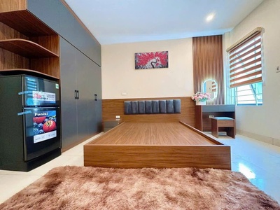 Ccmn mễ trì thượng- đồng me - ngõ to hơn phố - 10kk - doanh thu ổn - tp hà nội 2