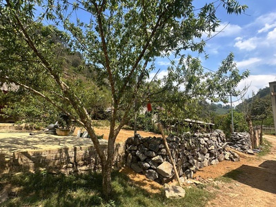 Bán 1032m2 đất view đẹp mộc châu  gần trung tâm, ô tô tận nơi, giá chỉ 1ty6 0
