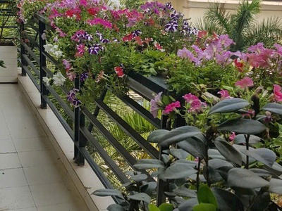Bán căn hộ 150m2. chung cư cao cấp đốc ngữ, ba đình 0