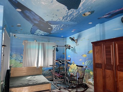 Bán nhà 168m  2 tầng, 3pn, 2 wc, tỉnh lộ 43, tam bình, thủ đức - 8.4 tỷ 3