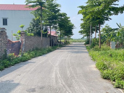 Trình làng đấu giá x2 xóm ngõ nguyên khê -75m2 cửa sáng cho nhà đầu tư 4