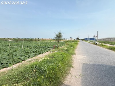 Bán gấp đất nền 91m2 tại giao phong giao thủy nam định giá chỉ 1,7 tỷ 1