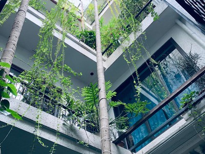 Bán nhà tặng full nội thất   trung tâm cầu giấy   46m   6t   5m   10 tỷ 0