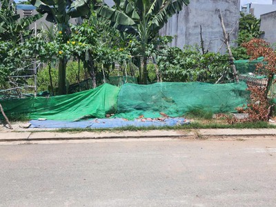 Bán gấp 4x14,5   58m  gần ub p. phú hữu, tp. tđ   shr, hxh   chỉ 3.1ty 1