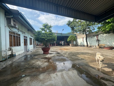 Chính chủ bán gấp 2 lô thổ cư siêu đẹp -p.bình đa - tp. biên hòa - t.đồng nai diện tích khủng 979m 1
