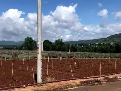 Bán nhanh 3 nền thổ cư hiệp thạnh liên nghĩa đức trọng - giá chưa chạm 1 tỷ 1