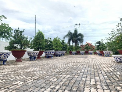 Nghệ nhân dán miễng sành sứ - ốp sành - chuyên chậu hoa - bể cá cảnh 11