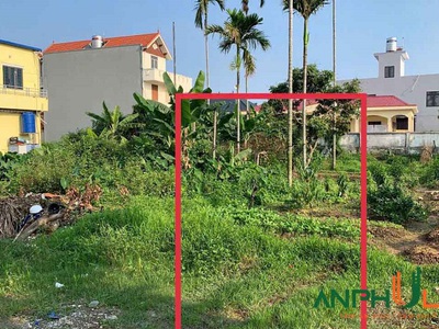 Chính chủ bán lô đất phân lô trung tâm Phường Hoa Động, TP Thủy Nguyên, Hải Phòng 0