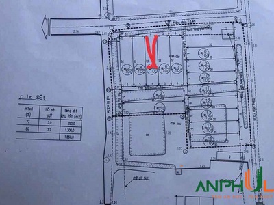 Chính chủ bán lô đất phân lô trung tâm Phường Hoa Động, TP Thủy Nguyên, Hải Phòng 3