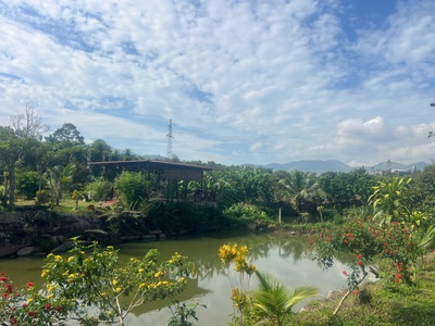 Bán đất Bảo Lộc giá 6xx 250m2/100mtc 2