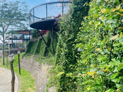 Bán đất nghĩ dưỡng Bảo Lộc giá 8xx sẵn thổ cư 1