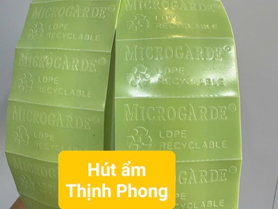 Miếng Chống Mốc   Cho Giày Dép, Túi Xách,... 2