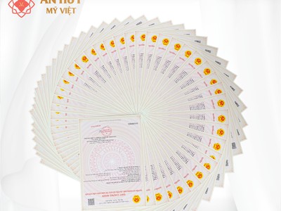 Kdt an huy mỹ việt 3