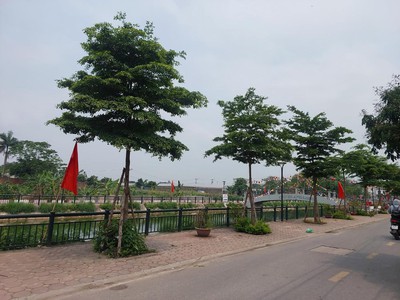 Tài chính hơn 3 tỷ mà 50m2 -  ô tô  - ngõ cực nông  - tiện ích đủ cả ở gia lâm. 0