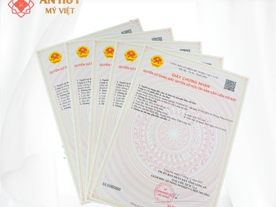 Kdt an huy mỹ việt 1