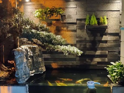 Vip - biệt thự mới cực đẹp khu kim đồng, yên tĩnh, thoáng mát, thang máy nhập khẩu, nội thất xịn 3