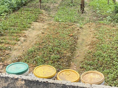 Thôn nguyên khê - nguyên khê - đông anh 1