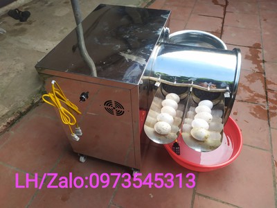 Máy rửa trứng vịt, rửa trứng gà 4