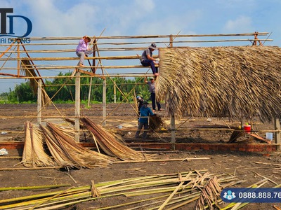 Cung cấp lá dừa nước lợp nhà chất lượng giá rẻ tại TPHCM 1