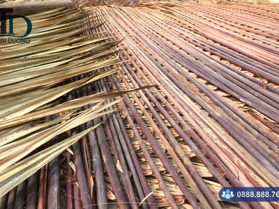 Cung cấp lá dừa nước lợp nhà chất lượng giá rẻ tại TPHCM 0