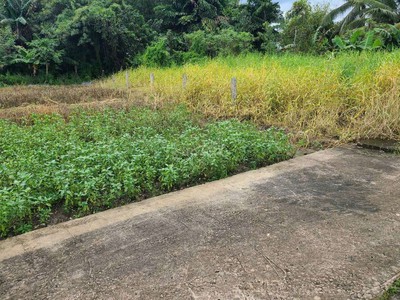 Chính chủ bán lô đất đẹp tại xã Phước Hậu, huyện Cần Giuộc. 1