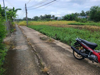 Chính chủ bán lô đất đẹp tại xã Phước Hậu, huyện Cần Giuộc. 0