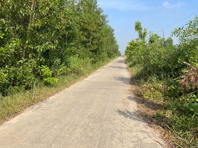 1000m2 đất vườn xã Tân Hòa, huyện Bến Lức giá 1 tỷ 2