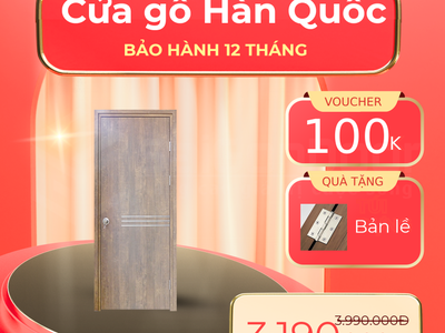 Cửa gỗ Hàn Quốc 1