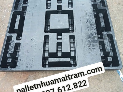 Bán pallet nhựa Trà Vinh 9