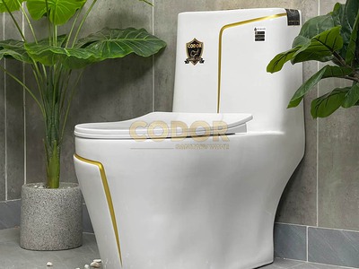 Bồn Cầu Trắng 1 Khối Viền Vàng CODOR 0